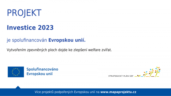 Projekt EU - zpevněné plochy